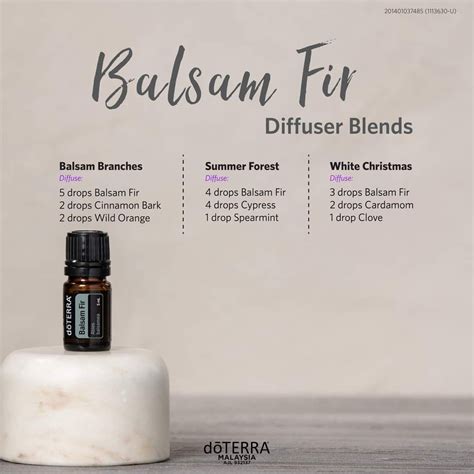 Balsam Fir Diffuser Blends Essential Oil Diffuser Blends Recipes