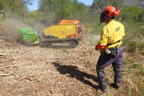 Comencen Els Treballs De Desbrossament Per Rebaixar El Risc De