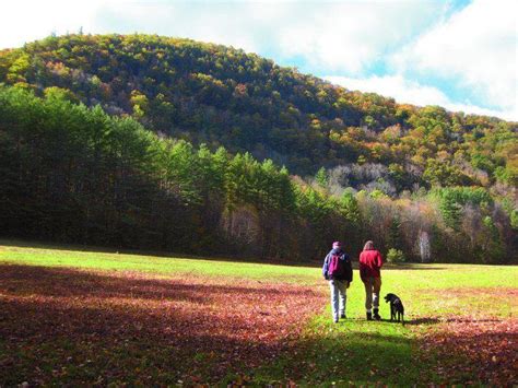 13. Mohawk Trail | Hiking spots, Hiking places, State forest