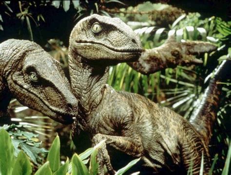 Velociraptor Pictures & Facts - The Dinosaur Database