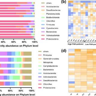 Community Composition Of Microbiota At The Phylum Level For A Surface