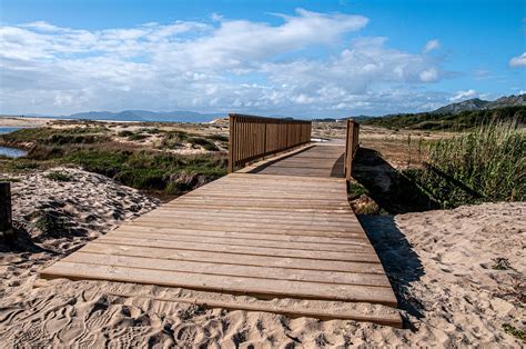 walkway wooden bridge  photo  pixabay pixabay