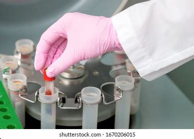 Doctor Puts Test Tube Blood Centrifuge Stock Photo Edit Now