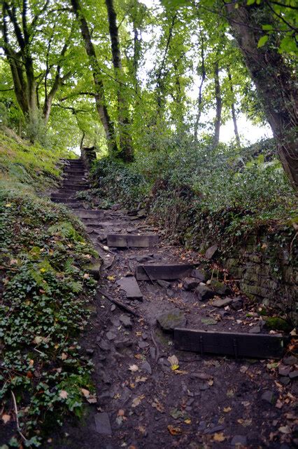 Steps From Folly Dolly Falls To The Habiloid Cc By Sa