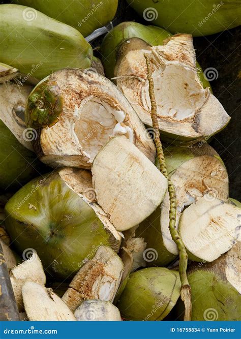 Green Coconut Shell Stock Photo Image Of Hard Nutrition 16758834