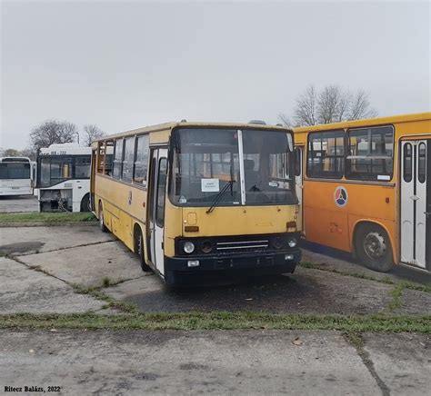 JOB 697 Ikarus 260 Debrecen Déli sor 2022 november Ritecz Balázs