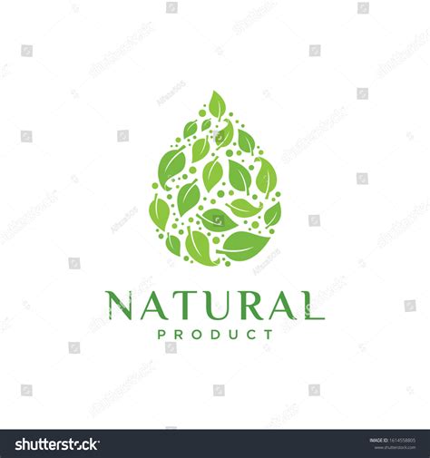 Creative Natural Logo Inspirationmodern Designvector Illustration Stock ...