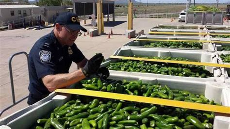 Prohíben cruzar chile y tomate a Estados Unidos El Mañana de Nuevo Laredo