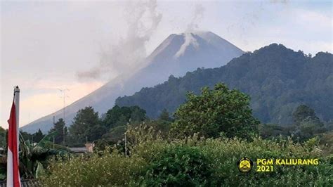 Update Gunung Merapi Juli Lontarkan Kali Guguran Lava Pijar