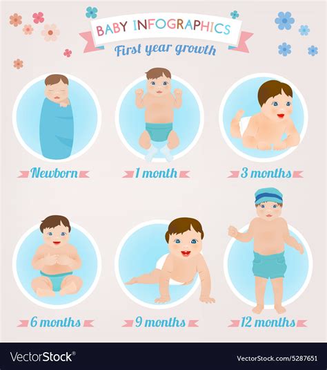 Baby Infographic Design