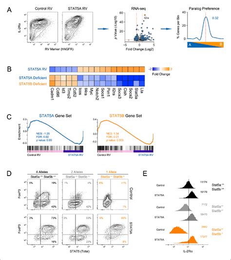 Paralog Dose Governs Stat5 Driven Gene Transcription A Cd4 T Cells