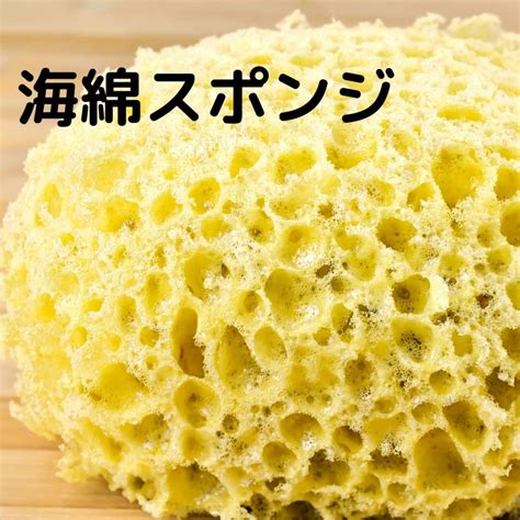 スキンケアのスポンジは「海綿」で決まり！肌に優しいきめ細かい泡立ちがポイント！ - 美容と健康商品お届け きれいになーれぷらす
