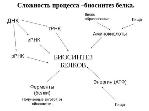 20 аминокислот: формулы и названия