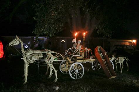 Halloween Horse Skeleton - Best Decorations