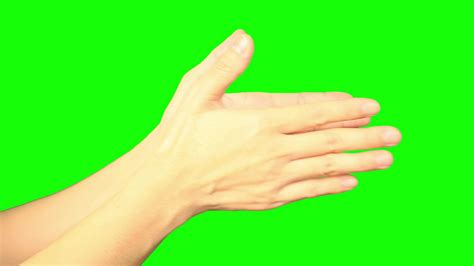 Wash Hand Green Screen Stock Video Footage For Free Download