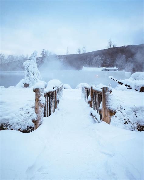 Winter Wonderland Bridge