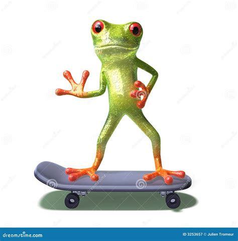 Frog On A Skateboard Royalty Free Stock Photography Image 3253657