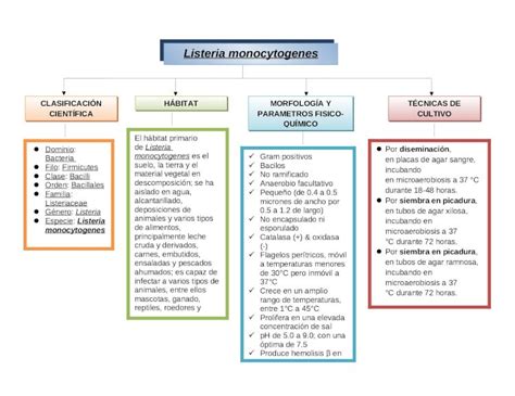 Arriba 57 Imagen Mapa Mental De La Descomposicion De Los Alimentos