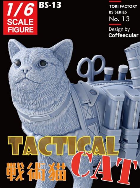 Current Use Tactical Cat