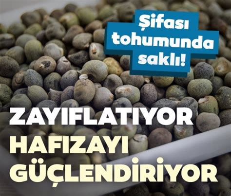 Hafızayı güçlendiriyor ve zayıflatıyor İşte bamya tohumu faydaları