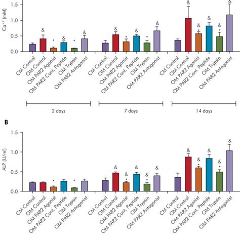 Calcium Concentration In The Supernatant A And Alp Activity B In Download Scientific