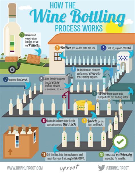 Infographie 5 La Mise En Bouteille Du Vin Huxley Wine Club