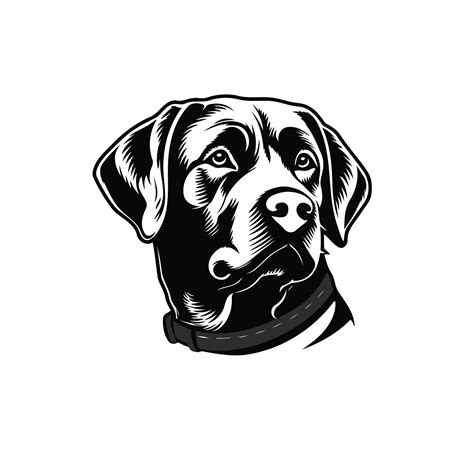 Black Lab Clip Art