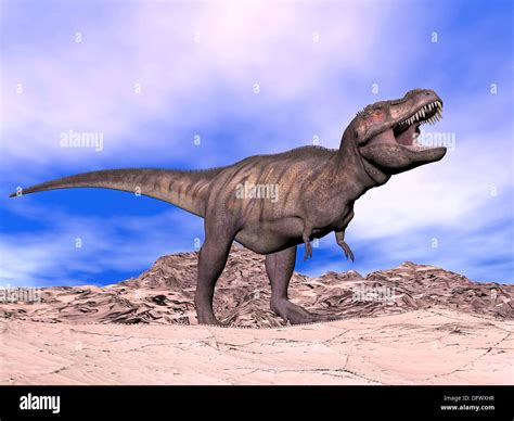 Tyrannosaurus Rex Dinosaurio Agresivo En El Desierto Con Su Boca