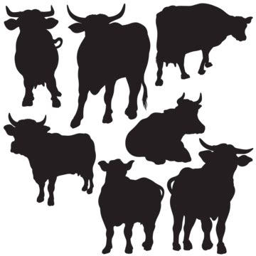 Cattle Collection Vector Silhouette Silhouette Herd Collection Vector ...