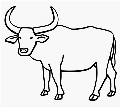 Gnu Clipart Female Buffalo - Carabao Clipart Black And White, HD Png ...