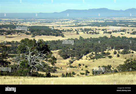 Early Morning View From One Tree Hill Lookout Ararat Vic Australia