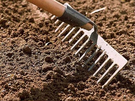 A Garden Tool Laying In The Dirt