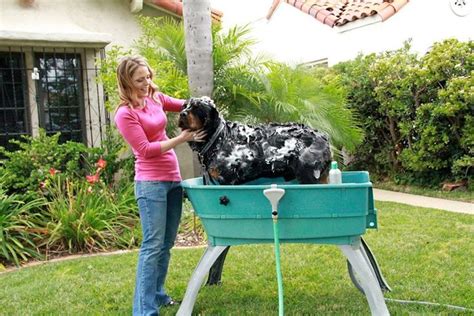 Booster Bath Elevated Dog Bath Tub Pet Advice Now Dog Bath Dog