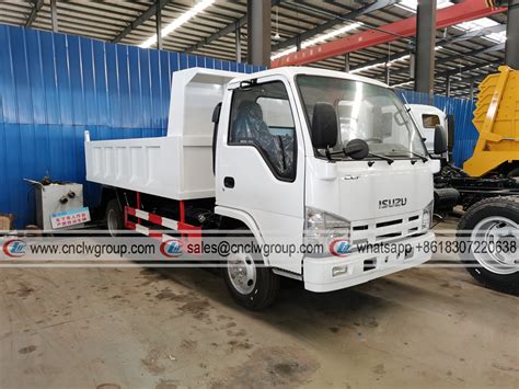 Isuzu Elf Ton Ton Dumper Mini Dump Truck Price Isuzu Tipper Truck