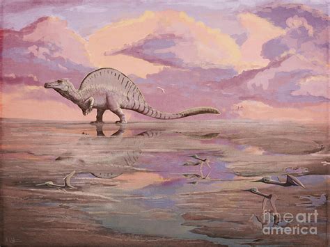 Spinosaurus Dinosaur Photograph By Mark P Wittonscience Photo Library