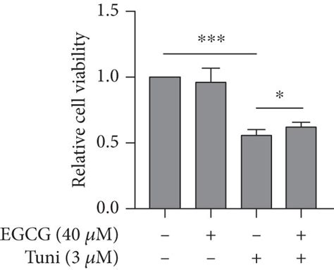 Egcg Pretreatment Alleviates Tuni Induced Er Stress And Enhances Cell