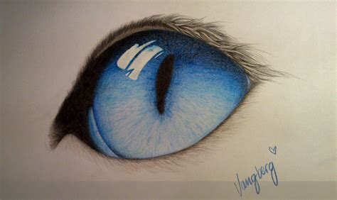 Cat Eyes Drawing, Pencil, Sketch, Colorful, Realistic Art Images ...