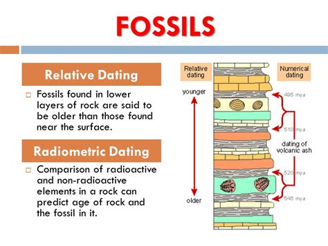 Relative And Radiometric Dating Of Fossils Telegraph