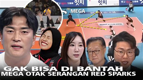 The Real Otak Serangan Analisa Jenius Pengamat Korea Sebut Mega