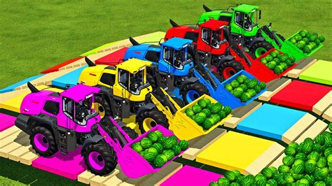 Load Transport Watermelons With Tractors Claas Wheel Loaders