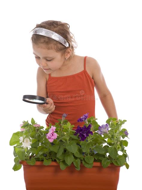 La Muchacha Está Investigando Una Flor Imagen de archivo Imagen de