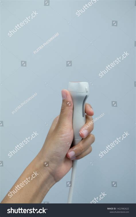 Hand Hold Probe Transthoracic Echocardiogram Tte Stock Photo 1422982622