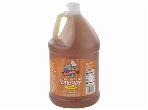 Apple Cider Vinegar 1 Gal Oak Hill Bulk Foods