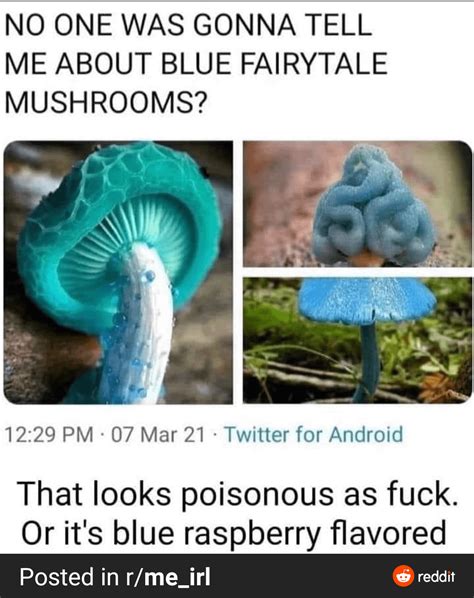 nature is so dope : r/plants