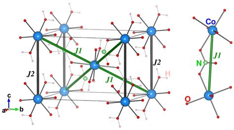 Ising Like Magnetism In Quasi Two Dimensional Co No H O