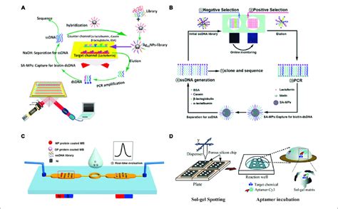 Microarray Chips For Aptamer Selection A Schematic Diagram Of The