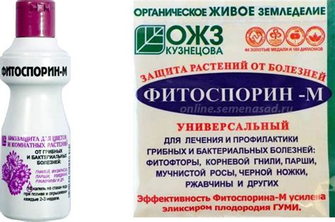 Фитоспорин: инструкция по применению для комнатных растений и в огороде