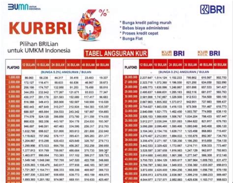 Pinjaman KUR BRI 2023 Syarat Cara Daftar Dan Keuntungannya Plafon