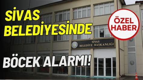 Sivas Belediyesinde B Cek Alarm Sivas Haberleri