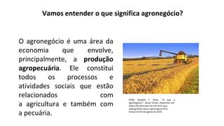 Agronegócio No Brasil Resumo - AGRONEGOCIO NO BRASIL.pptx